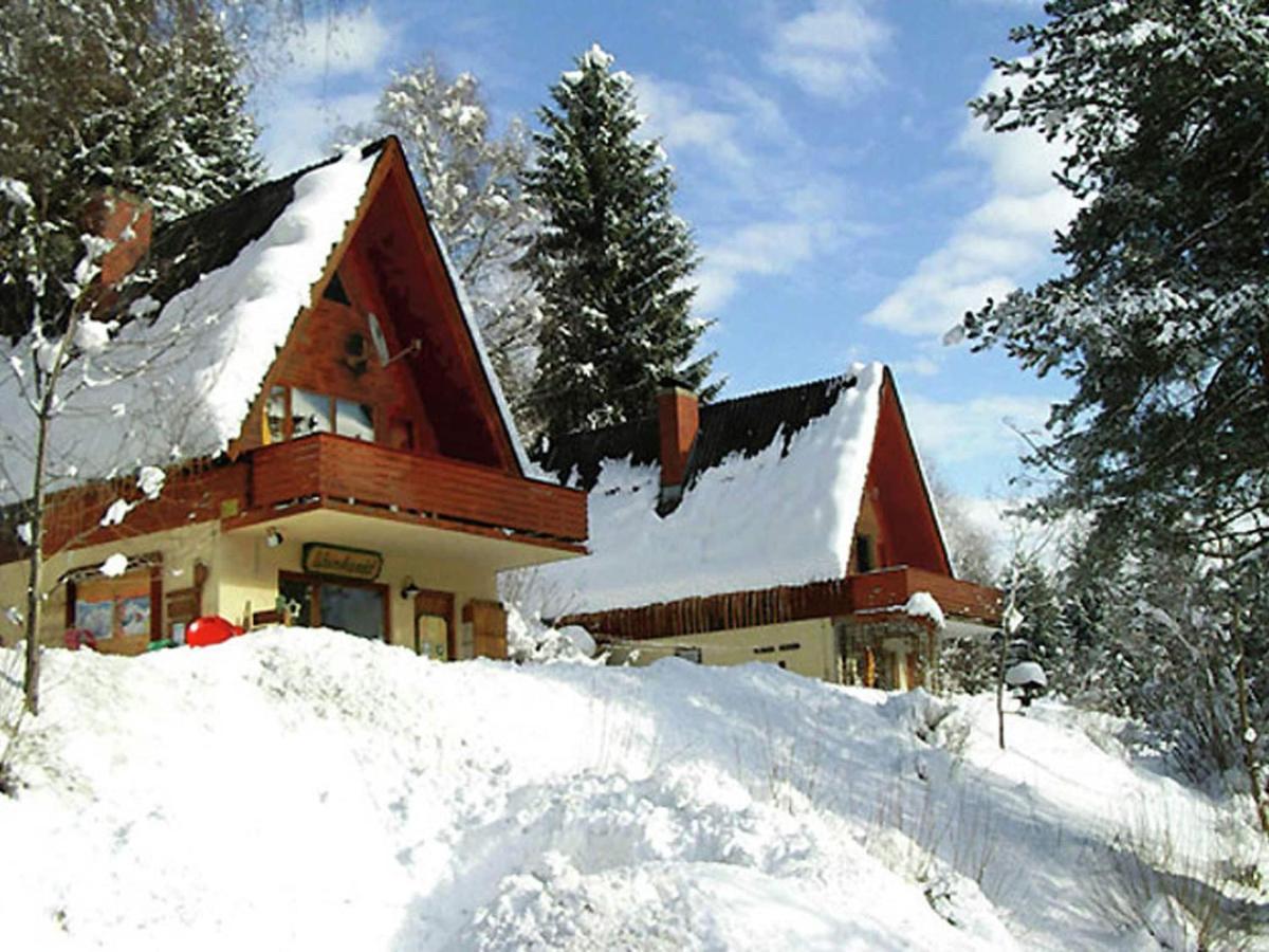 Holiday Home In Jenig Carinthia With Pool エクステリア 写真