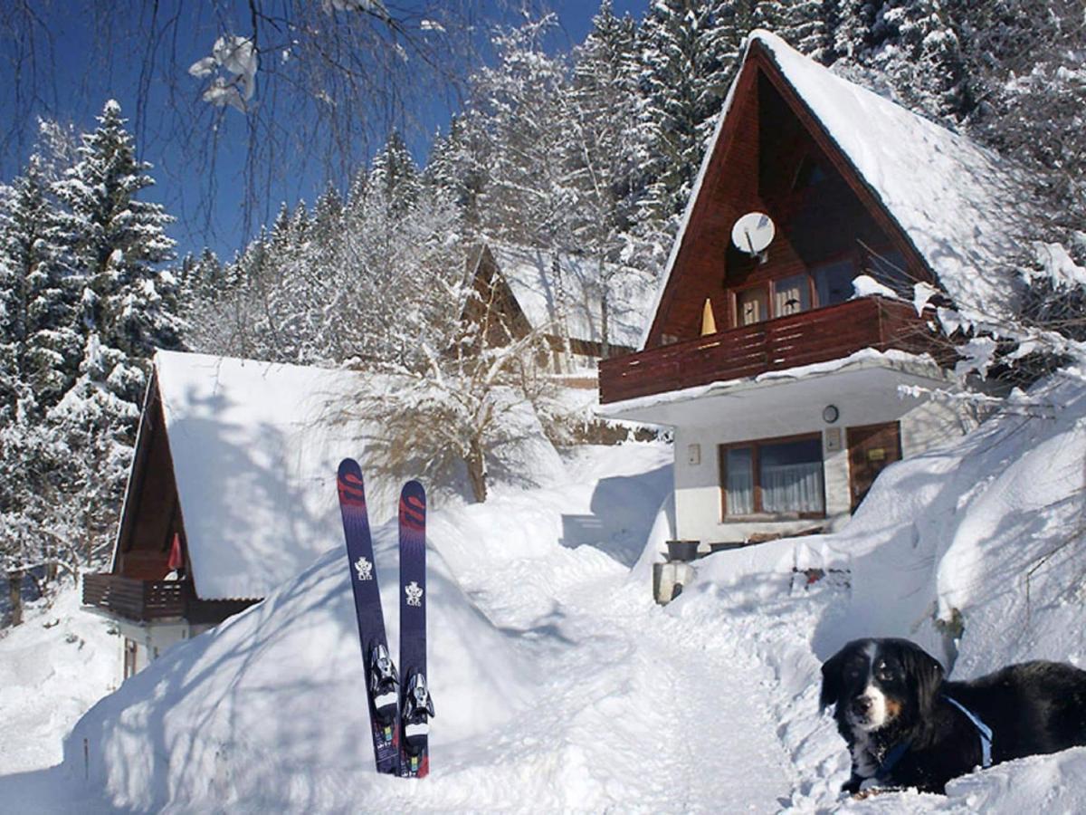 Holiday Home In Jenig Carinthia With Pool エクステリア 写真